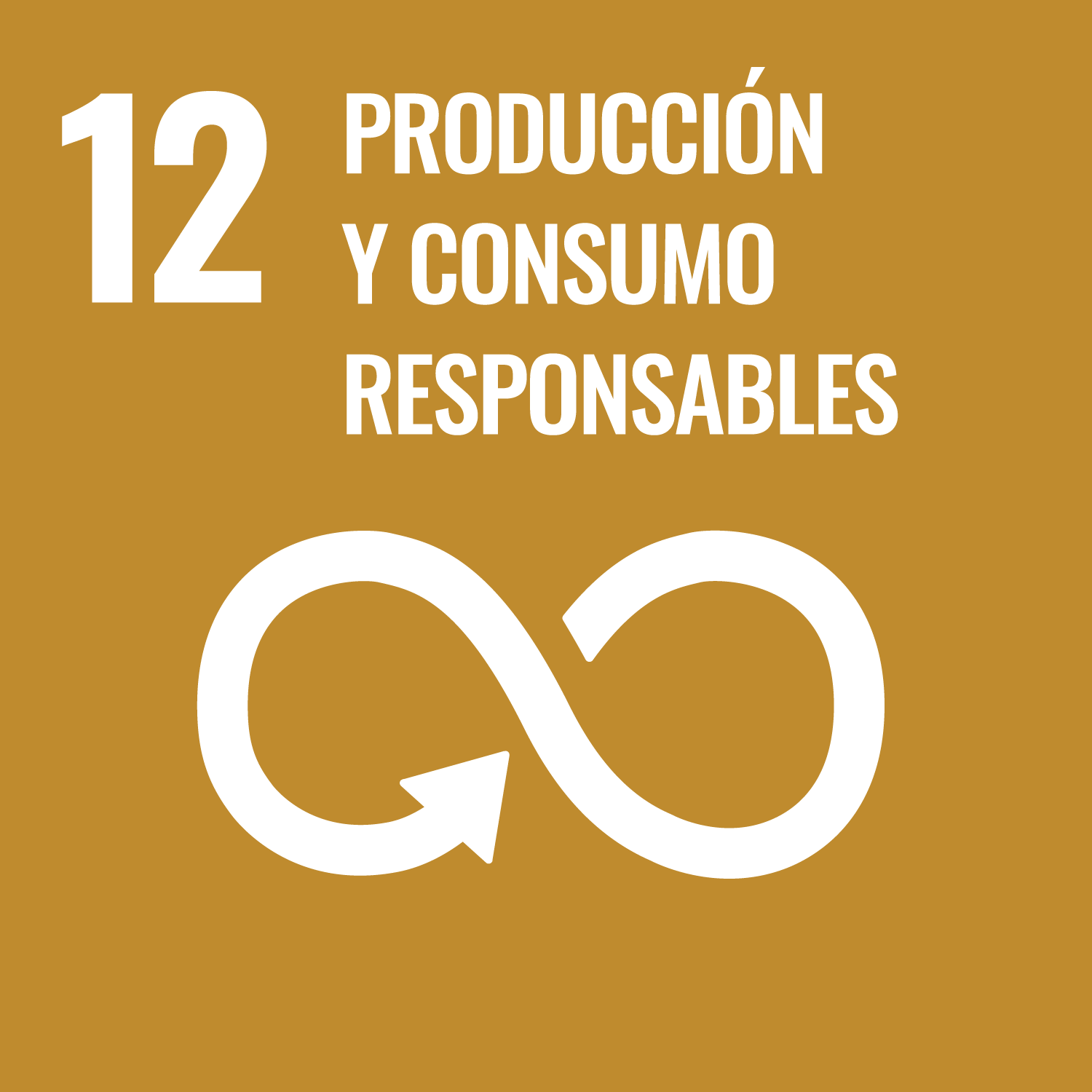 Objectiu de Desenvolupament Sostenible 12