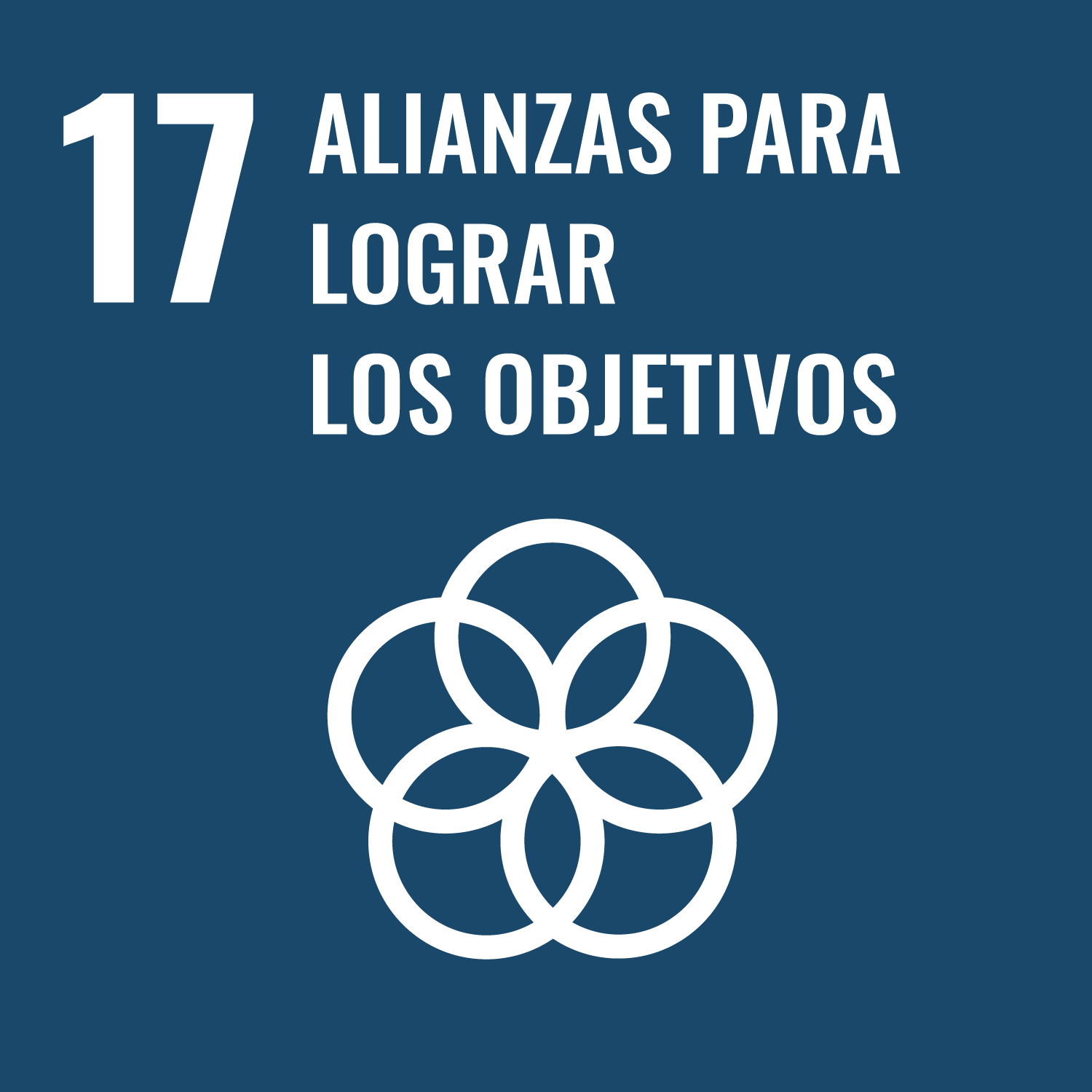 Objectiu de Desenvolupament Sostenible 17