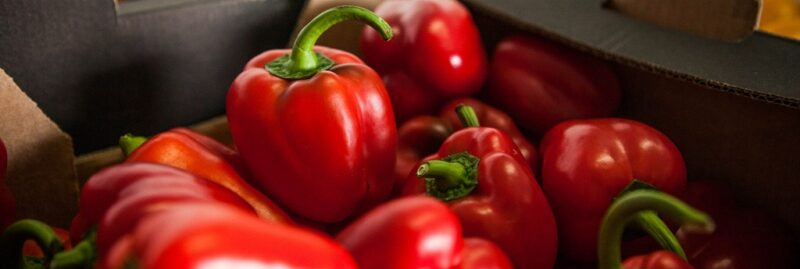 Fruita i hortalisses retirats del mercat (Servei de Regulació de Mercats Agroalimentaris SERMA)