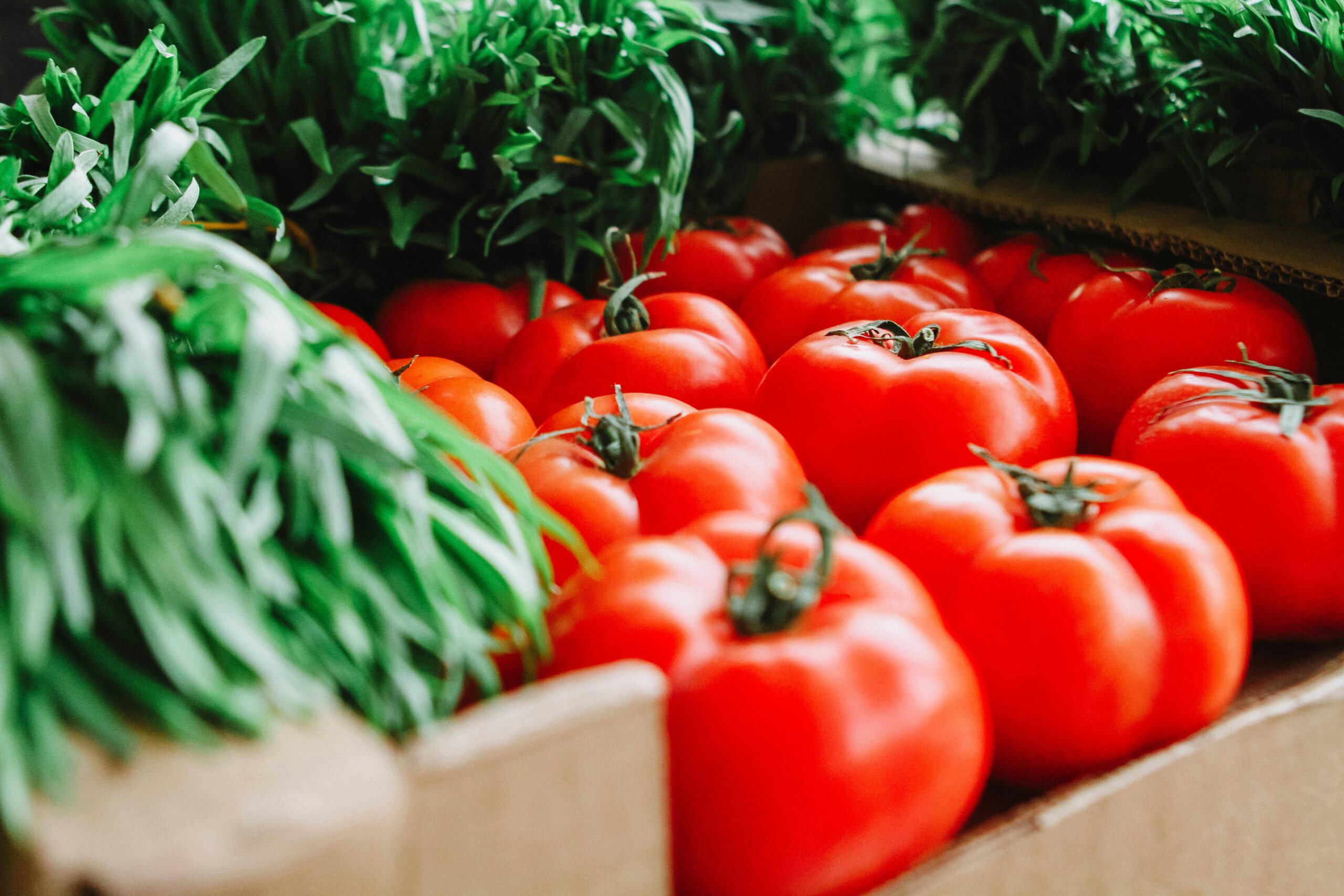 Nova Directiva europea per reduir el malbaratament alimentari