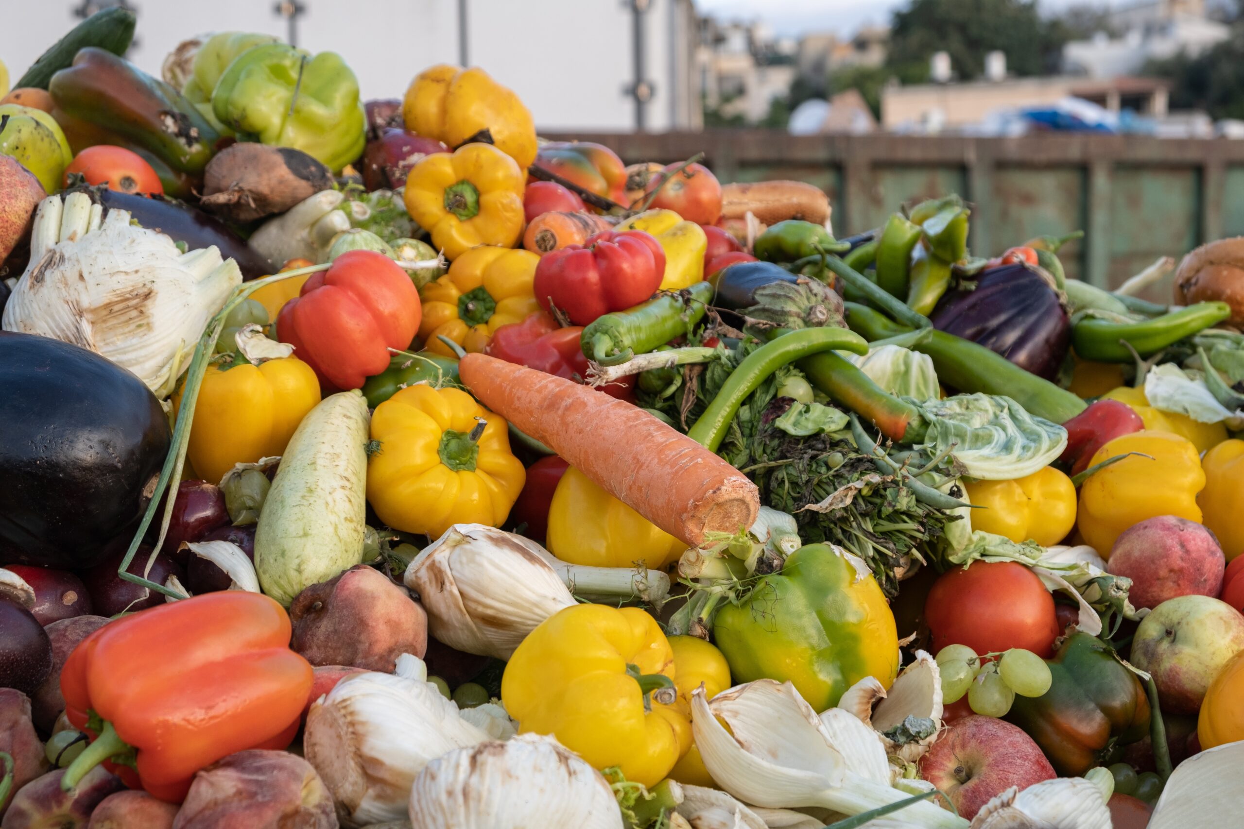 El malbaratament alimentari a Catalunya: aliments que es llencen, emissions que es poden evitar
