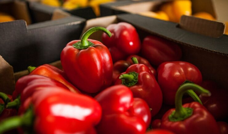 Reaprofitament i distribució d’aliments l’any 2025