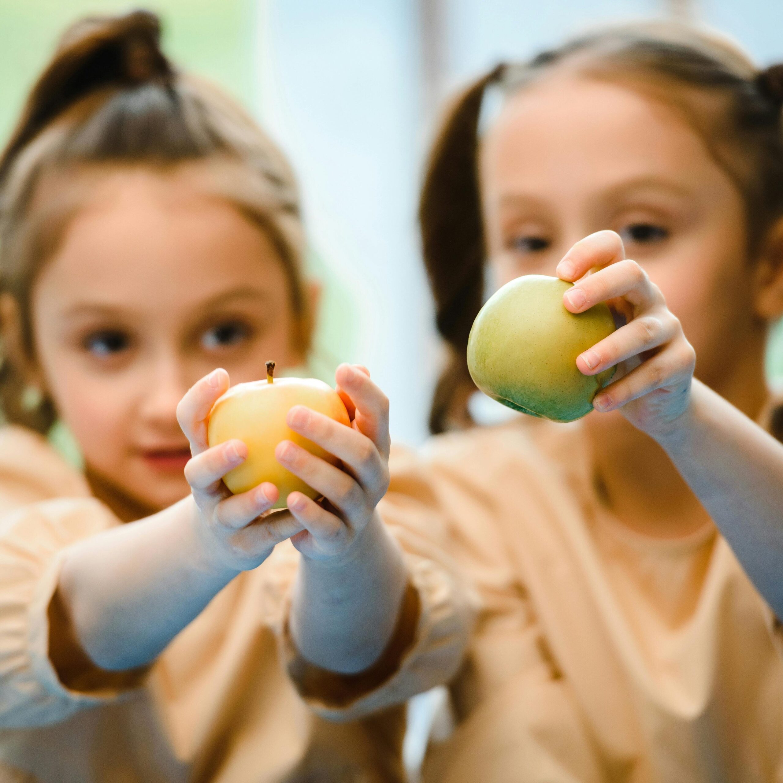 Memòria 2025: un any per consolidar limpacte i transformar el futur alimentari