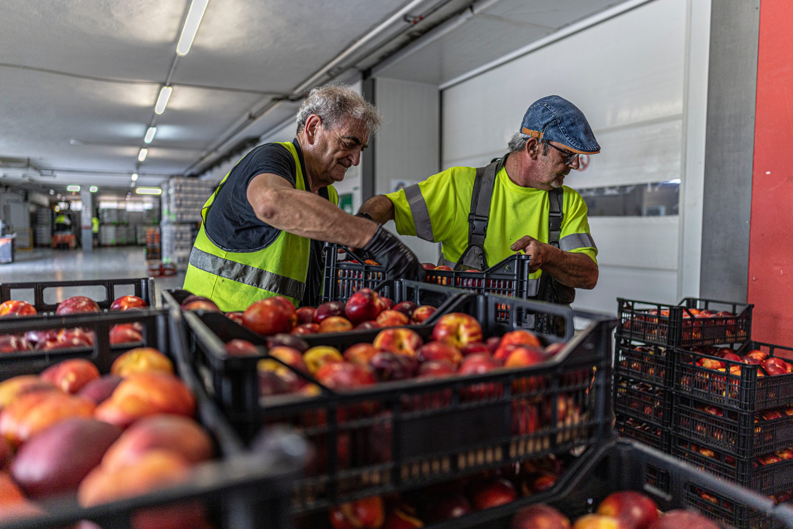 Donació de productes alimentaris