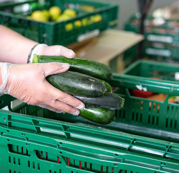 Seguretat alimentària